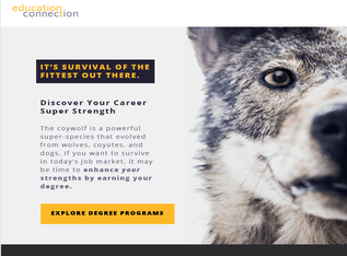 Marketing Email: Education&nbsp;Connection